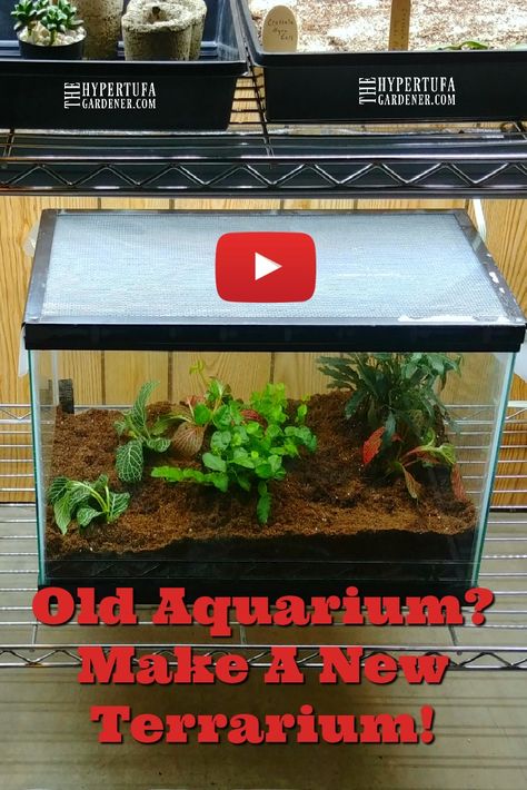 I have decided on converting the aquarium to a terrarium. Makes sense to me. I have quite a few plants that need a bit of a humid atmosphere. It worked.  It can also work for a "desert" terrarium for succulents. #terrarium #houseplants #succulents #diy Terrarium Aquarium Diy, Terrarium In Aquarium Tank, Aquarium Planter Ideas, Fish Tank Plant Terrarium, Aquarium To Terrarium, Closed Terrarium Ideas Diy, Diy Aquarium Ideas, Big Terrarium, Self Sustaining Terrarium