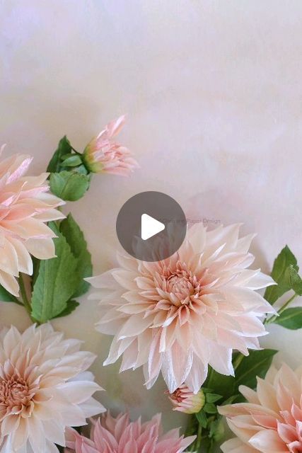 Creap Paper Flower, Paper Dahlia Flowers Diy, Dahlia Paper Flowers, How To Make Paper Dahlias, Crepe Paper Dahlia, Turkey Crafts For Preschool, Crepe Paper Flower Lamp, Paper Botanicals, Simple Paper Flower