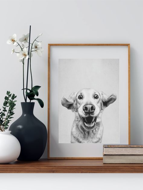 Happy Golden Retriever, Frame Mockup Free, Pet Photography Ideas, Dog Photo Shoot, Modern Minimalist Decor, Puppy Photography, Poster Club, Create A Gallery Wall, House Essentials