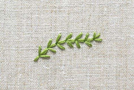 Fern Stitch Example Fern Stitch, Crewel Embroidery Tutorial, Crewel Embroidery Kits, Embroidery Stitch, Learn Embroidery, Brazilian Embroidery, Simple Embroidery, Silk Ribbon Embroidery, Crewel Embroidery