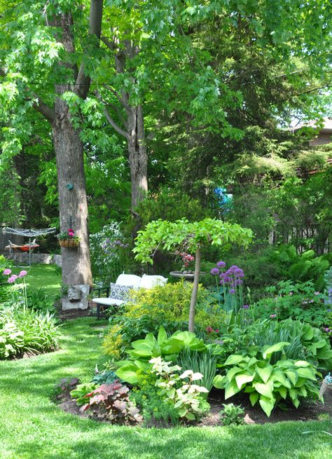 Shade Garden With Bench, Bay Area Garden, Backyard Shade Garden, Small Corner Garden, Woods Backyard Ideas, Tiny Cottage Garden, Massive Garden, Pathway Design, Corner Landscaping