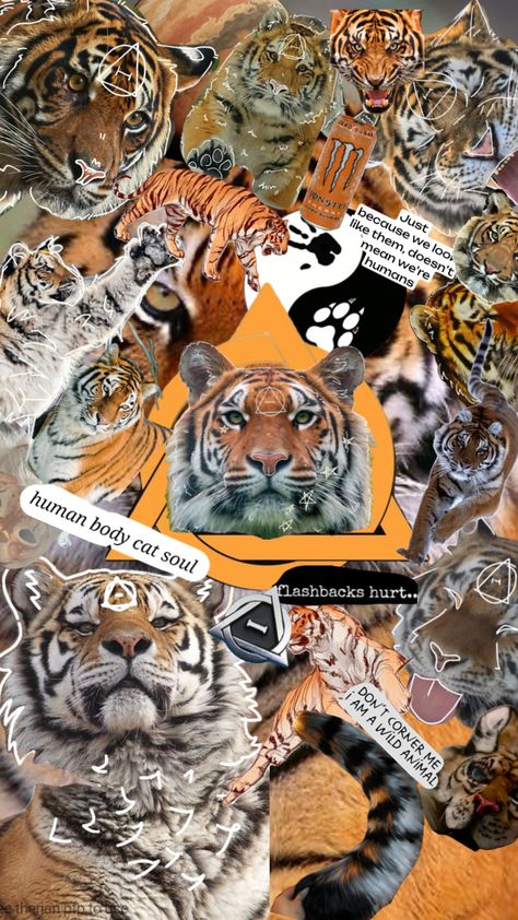 ✯ Tiger Therian ✯ #tiger #tigertherian #therian #therianthropy #therianbackground #therianwallpaper Tiger Therian, Aesthetic Pictures, Art Inspo, Animals, Art