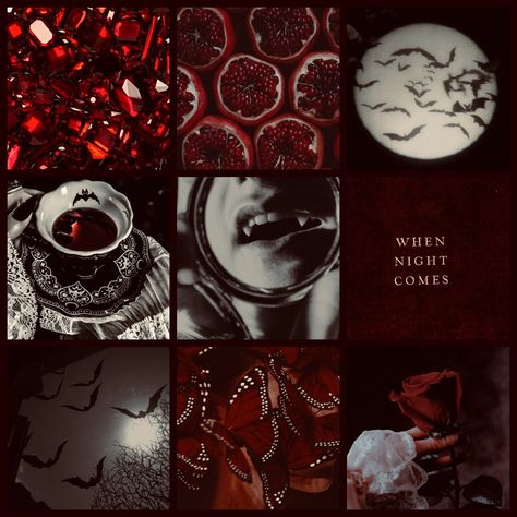 Vampire Mood Board, Red Characters Aesthetic, Gore Moodboard, Red And Black Moodboard, Moodboard Aesthetic Dark, Vampire Color Palette, Vampire Moodboard, Red Mood Board, Pretty Moodboards