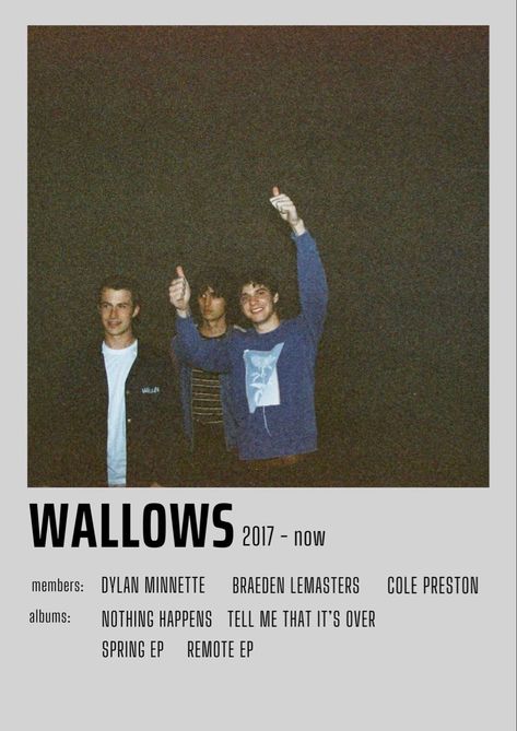 Wallows Album Poster, Wallows Tour Poster, The Wallows Aesthetic Wallpaper, Wallows Album Covers, Wallows Aesthetic Poster, Wallows Wallpapers, Wallows Aesthetic Wallpaper, Janecore Aesthetic, Wallows Poster