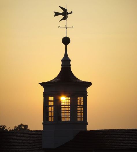 George Washington Mount Vernon on Instagram: “Drawing on classical iconography, Washington's Dove of Peace weathervane symbolized domestic peace for the new nation that would endure no…” Colonial Life, International Day Of Peace, Dove Of Peace, National Mall, Peace Dove, Colonial Williamsburg, Memorial Park, Mount Vernon, House Museum