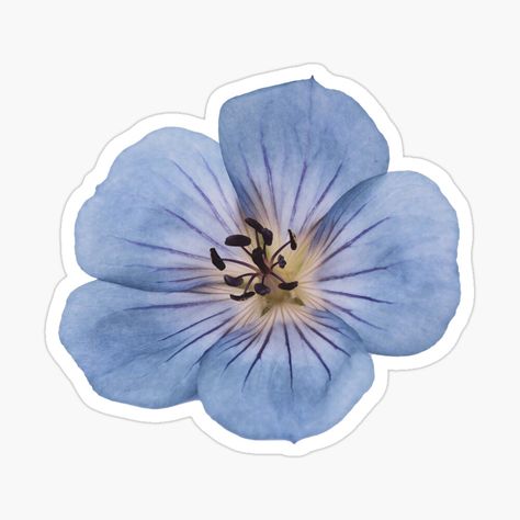 Blue Stickers Png, Aesthetic Stickers Blue, Blue Stickers Aesthetic Printable, Blue Journal Stickers, Cute Blue Stickers, Blue Stickers Aesthetic, Blue Flower Sticker, Tumblr Sticker, Blue Geranium