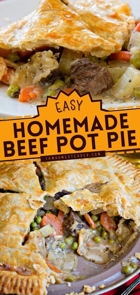 Homemade Pot Pie Recipe, Marinated Steak Bites, Roast Beef Pot Pie, Beef Stew Pot Pie, Beef Pot Pie Recipe, Homemade Pot Pie, Pot Pie Recipe Easy, Beef Pot Pie, Meat Pie Recipe