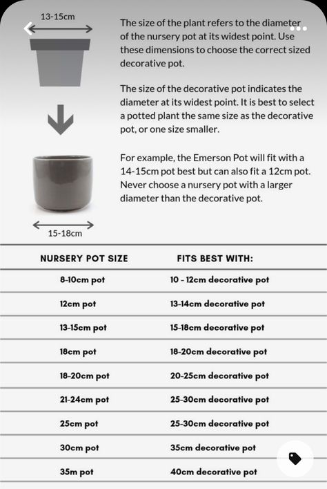 Decorative Indoor Plant Pots, Pot Sizes For Plants, Plant Pot Size Guide, Pot Size For Plants, Plant Business, Ikea Plants, Plants Care, Plant Tips, Plant Mama