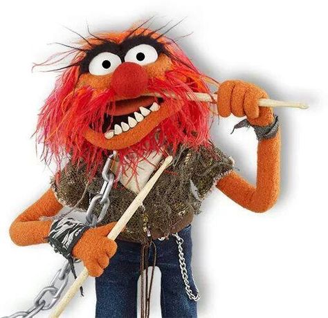 Animal Animal From The Muppets, Animal Muppets, Mahna Mahna, The Electric Mayhem, Muppets Animal, Animal Muppet, Electric Mayhem, Muppets Most Wanted, Gretsch Drums