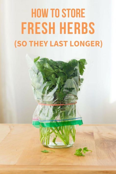 How to Store Fresh Herbs So They Last Longer - Find step by step directions and tips for keeping your herbs fresh and delicious! #herbs #kitchentips #foodwaste Best Way To Store Cilantro Fresh Herbs, How To Keep Herbs Fresh, Keeping Herbs Fresh, How To Make Cilantro Last Longer, Keep Cilantro Fresh Longer, Fresh Herb Storage, How To Keep Cilantro Fresh Longer, Recipes Using Parsley, Storing Fresh Herbs