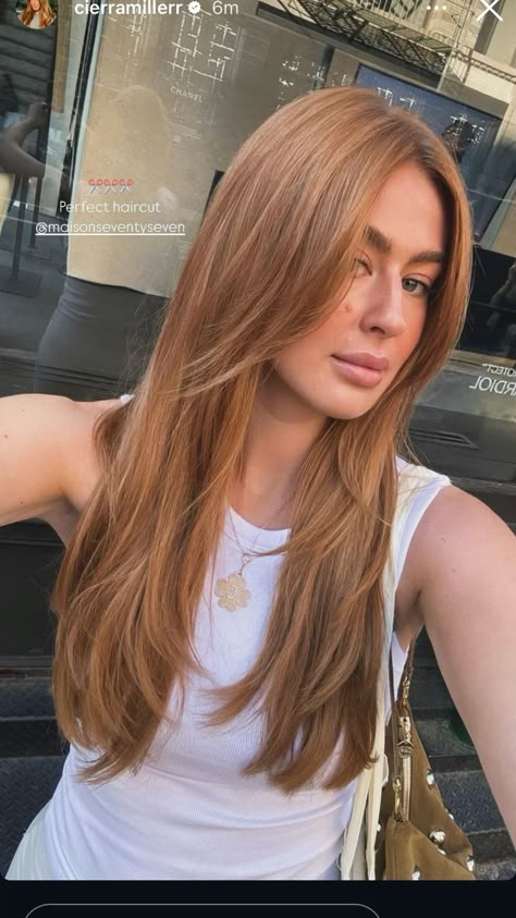 Butterscotch Hair, Natural Auburn Hair, Light Copper Hair, Dark Strawberry Blonde Hair, Apricot Hair, Popular Hair Colors, Light Auburn Hair Color, Light Red Hair, Caramel Blonde Hair