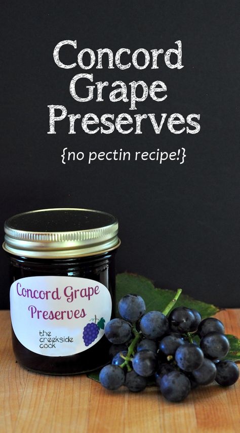 Concord Grape Preserves {no pectin recipe} - The Creekside Cook Grape Jelly Recipe No Pectin, Grape Jam Recipe No Pectin, Blackberry Preserves Recipe, Grape Preserves, Concord Grape Recipes, Grape Jam Recipe, Homemade Grape Jelly, Blackberry Preserves, Concord Grape Jelly