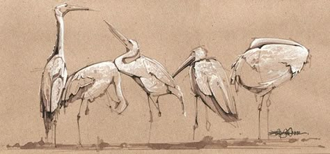 stork studies White Flag, Toned Paper, Paper Drawing, Animal Sketches, Sketchbook Inspiration, Bird Drawings, Urban Sketching, Watercolor Bird, Painting Art Projects