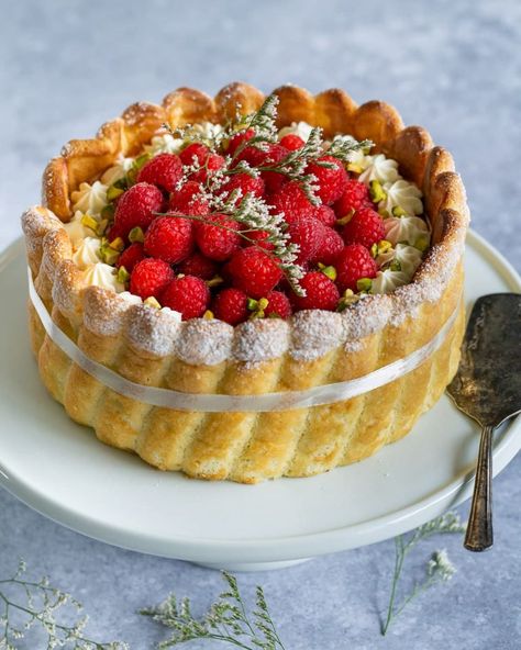 Charlotte Cake Recipe, Raspberry Charlotte, Tuiles Recipe, Raspberry And Pistachio, Le Macaron, Charlotte Cake, Restaurant Style Recipes, Cake Filling Recipes, Raspberry Coulis