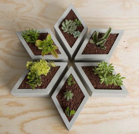 Cement Flower Pots, Plant Pot Design, Planter Project, Diy Concrete Planters, نباتات منزلية, Cement Diy, Cement Art, Concrete Diy Projects, Concrete Furniture