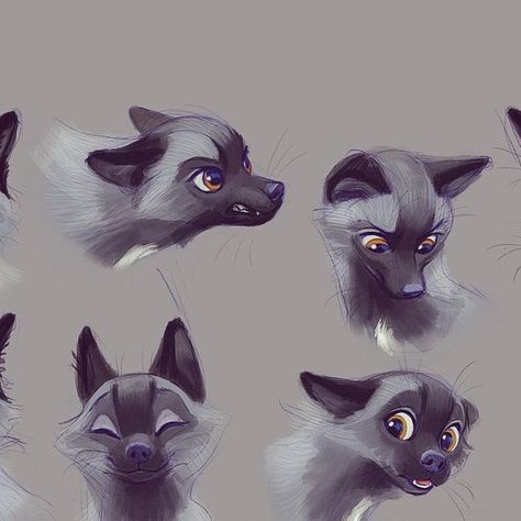 Silver Fox Character Design, Silver Fox Drawing, Grey Fox Art, Silver Fox Art, Expressions Study, Fox Poses, Fox Character Design, Expressions Practice, Fantasy Ocs