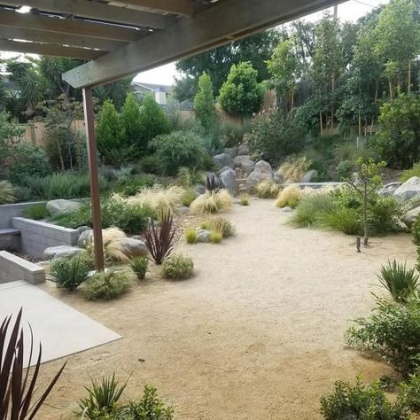 Decomposed Granite Patio, Australian Garden Design, Pagoda Garden, Pavers Backyard, Decomposed Granite, Australian Garden, Patio Landscaping, Cactus Y Suculentas, Landscaping With Rocks