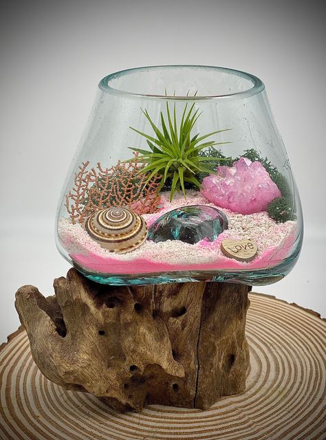 "Crystal Pink Island" Air Plant Terrarium Hand blown glass melted over gamal wood, custom made by Bali artisans & designed by Port Dr. We design b... Read more at https://terrariumcreations.com/gift-ideas/terrariums/air-plant-terrarium-blown-glass-crystal-pink-island-6x6/ Crystal Room Decor, Air Plants Decor, Diy Terrarium Kit, Pink Island, Rocks Crystals, Beautiful Terrariums, Bring Nature Indoors, Plant Crafts, Plant Terrarium