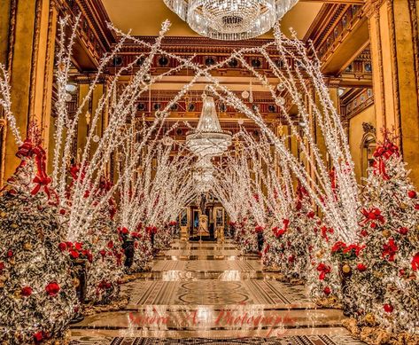 TOP 10 DECORATED HOTEL IN USA The Roosevelt New Orleans, A Waldorf Astoria Hotel, has been decorating its lobby for Christmas since the 1930s.....This year, the hotel is decked out with 124 separate trees, 112,980 white lights, and 4,065 glass ornaments. The entire 'Waldorf Wonderland' display is so painstakingly planned out an put together that it requires 52 staff members, who together spend a total of 1,800 hours preparing, installing, and breaking down the decorations each ... New Orleans Winter, New Orleans At Christmas, New Orleans Christmas Decorations, Christmas In New Orleans, Christmas New Orleans, Christmas In New Orleans French Quarter, Roosevelt Hotel New Orleans Christmas, New Orleans Christmas Ornaments, White Tent Wedding