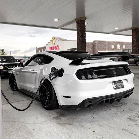 Ford Mustang Mobil Mustang, Aesthetic Cars, Cars Aesthetic, Shelby Mustang, Ford Mustang Car, Aesthetic Cool, Car Organization, Ford Mustang Shelby Gt500, Aesthetic Car