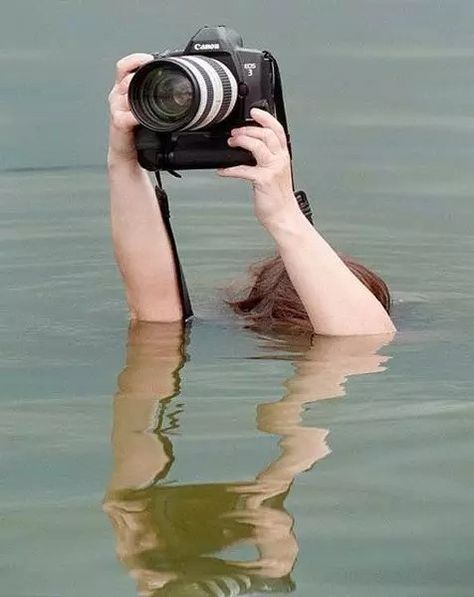 Unusual Photography, Macro Fotografia, Photographer Humor, Walker Evans, Underwater Camera, Funny Photography, Photography Education, Underwater Photography, Best Photographers