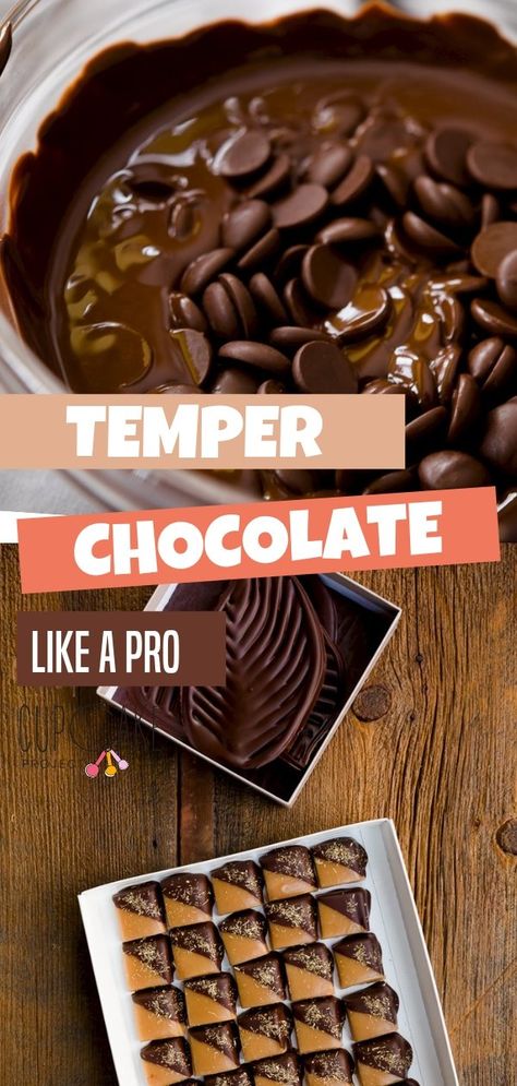 Holiday Confections, Tempered Chocolate, Temper Chocolate, Cupcake Project, How To Temper Chocolate, Chocolate Dipped Fruit, Chocolate Candy Recipes, Chocolate Work, Chocolate Recipes Homemade