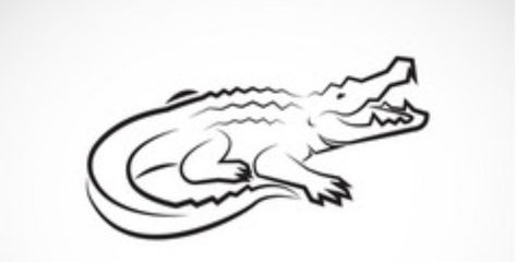 Simple Gator Tattoo, Crocodile Tattoo Simple, Small Crocodile Tattoo Simple, Minimalist Gator Tattoo, Crocodile Tattoo Cute, Fine Line Alligator Tattoo, Alligator Tattoo Outline, Small Alligator Tattoo Simple, Tiny Alligator Tattoo