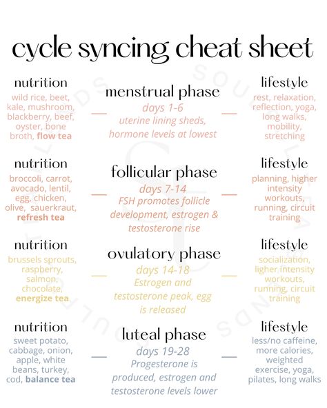 New to cycle syncing? 💫  We've got you covered 💞  Cycle syncing is an opportunity to understand the fluctuating nature of your cycle, and how to best support yourself during each phase 🌸  Some of the many benefits of cycle syncing include:  ✨ Your mood improves ✨ Your energy improves ✨ Your appetite and digestion get better ✨ Sleep quality goes up ✨ Your desire to socialize and get out there in the world increases  Click to get our free, printable cycle syncing food chart! How To Sync Your Cycle, Four Stages Of Menstrual Cycle, Different Cycle Phases, Foods To Support Menstrual Cycle, Regulate Cycle Naturally, Cycle Syncing Chart, Menstrual Cycle Explained, Menstrual Cycle Food Chart, Support Your Cycle