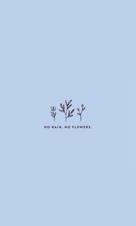 No Rain No Flowers Wallpaper, Baby Blue Wallpaper, Blue Flower Wallpaper, Blue Quotes, Cute Phrases, Blue Words, Baby Blue Aesthetic, Light Blue Aesthetic, No Rain No Flowers