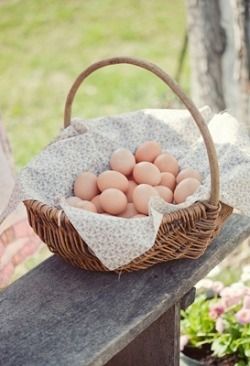 Fun Adventure, Farm Fresh Eggs, Egg Basket, Backyard Chickens, Farms Living, Down On The Farm, Fresh Eggs, Country Charm, Country Farm