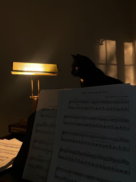 #blackcat #piano #goodluck Cat Music Aesthetic, Cat Piano, Alone In A Crowd, Rainy Window, Music Journal, Glamour Decor, Basic Anatomy And Physiology, Hanging Paintings, Cover Songs