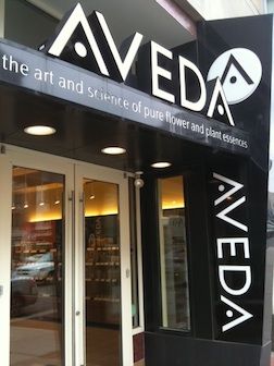 AVEDA! So excited to be a part of this team! Aveda Institute, Free Haircut, Beauty Careers, College Beauty, Aveda Hair, Cosmetology School, Haircut Pictures, Top Beauty, Shop Till You Drop