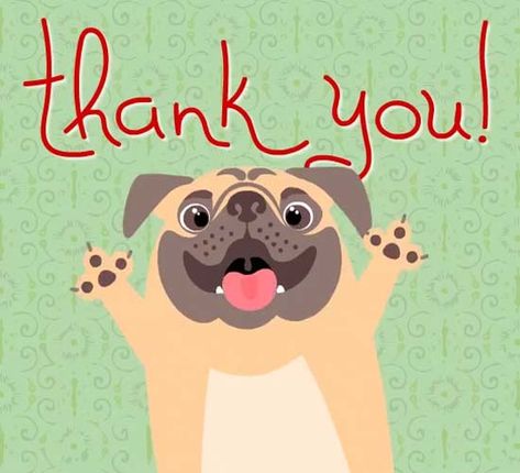 A thank you and a smile with a funny pug card. Funny Thank You Pictures, Thank You Images Funny, Thanks For Wishes, Postcard Ideas, Thank You Pictures, Funny Thank You, Thank You Images, Animated Cards, Be Kind To Everyone