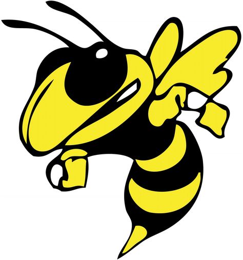 Go Hornets Go!!! I am a hawley hornet Georgia Tech Football, Lacrosse Boys, Georgia Tech Yellow Jackets, Boys Basketball, Basketball Girls, Yellow Jacket, Svg Free, Georgia Tech, Hornet