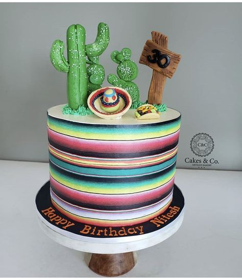 Mexican Theme Cake For Men, Serape Cake Ideas, 50th Birthday Cake Mexican Theme, Simple Mexican Theme Cake, 2 Tier Mexican Fiesta Cake, Cactus Cake, Second Birthday Ideas, Baby Birthday Party, Baby Birthday