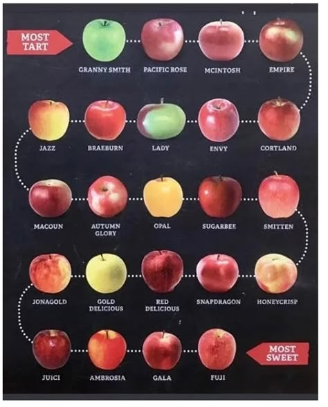 Apple varieties - An alphabetical chart of which apple to pick and why! Apple Chart, Apple Season, Apple Varieties, Food Info, Incredible Recipes, Granny Smith, Apple Picking, Food Facts, Fruit Recipes