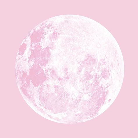 Full Moon In Leo, Organic Skin Care Products, Moon In Leo, Pink Moon, The Full Moon, Organic Skin, Moon Stars, Skin Care Products, Organic Skin Care