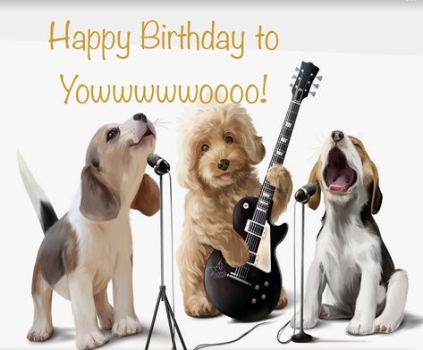 Happy Birthday Funny Dog, Funny Happy Birthday Messages, Happy Birthday Animals, Happy Birthday Wishes Pics, Happy Birthday Wishes Messages, Birthday Wishes Pics, Funny Happy Birthday Wishes, Happy Birthday Dog, Happy Birthday Wishes Cake