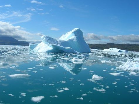 Students read an article about how scientists believe that the weather in 2016 shows that climate change is now a fact. Activities focus on reading, understanding and key climate change vocabulary. There are also speaking activities for students to share their opinions on the topic. Hydrogen Bonding, Climate Warming, Esl Lesson Plans, Speaking Activities, Sea Level Rise, Nature Water, Organic Chemistry, Personalized Learning, Chemistry