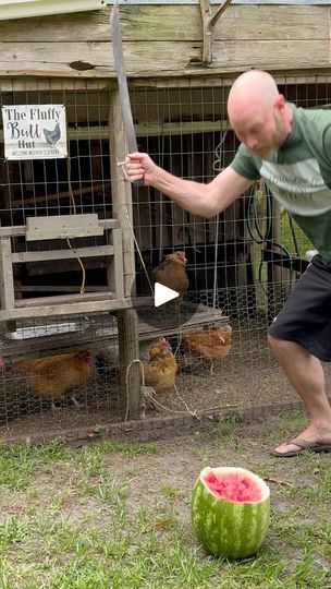 Chicken tender tips! What do you think about this table? It’s a old fence gate tied to the ceiling #chickens #chickentender #chickencoop #backyardchickens | James Weston | Eminem · Mockingbird Fancy Chicken Coop, Eminem Mockingbird, Chicken Tips, Fancy Chickens, Chicken Tender, Old Fences, Chicken Lady, Fence Gate, Raising Chickens