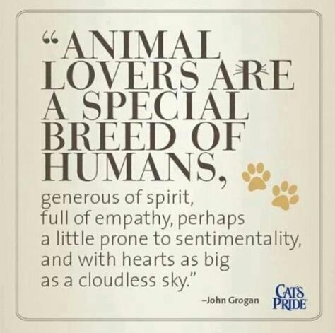 "Los amantes de los animales son una "raza especial" de humanos, generosos de espíritu, llenos de empatía, tal vez un poco propensos a ser sentimental y con un corazón tan grande como un cielo despejado"-John Crogan #animales #mascotas Animal Quotes, Dog Quotes, An Animal, A Sign, Animal Lovers, Animals Friends, Animal Shelter, I Love Dogs, Animals Beautiful