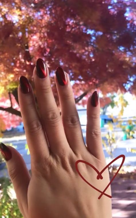 Burgundy Background Aesthetic, Burgundy Nails, Cat Eye Nails, Cat Eye, Nail Designs, Nails, Design