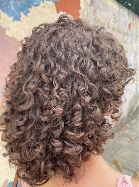 3a Short Curly Hair, Short 3a Curly Hair, Short 3a Hair, Layered Short Curly Hair, Short Curly Hair Aesthetic, Curly Wavy Hair, Natural Curly Hair Cuts, Short Locs Hairstyles, Curly Hair Photos