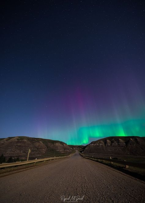 Alberta Aurora Chasers | Welcome to Drumheller, Alberta, Canada where we explore the Badlands under the light of the full moon and dance with dinosaurs under the northern ligh... Drumheller Alberta, The Northern Lights, The Full Moon, Under The Lights, Alberta Canada, Full Moon, Dinosaurs, The Light, Northern Lights