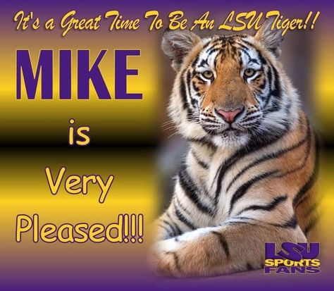 Lsu Tigers Football Wallpaper, Lsu Tigers Svg, Lsu Tigers Shirts Vinyl, Tiger Halloween, Lsu Tigers Logo, College Crafts, Lsu Baseball, Lsu Tigers Baseball, Lsu Tigers Football