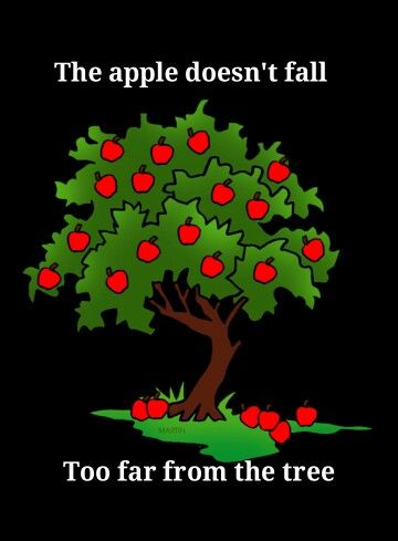 The apple doesn't fall too far from the tree. Family Tree Collage, Willow Tree Art, Christmas Tree Quotes, Tree Tattoo Back, Far From The Tree, Willow Tree Tattoos, Natural Christmas Tree, Tree Collage, Tree Quotes