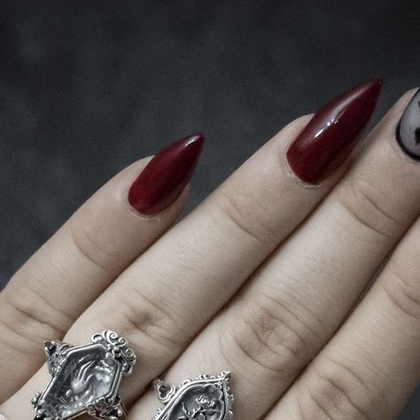 Federica Bianciardi on Instagram: "🥀My favorite jewelry of the time (I think for life) ✨ 
•
•
•
🥀Rings and Necklace *GIFTED by @petalsandpoison [15% Off: FEDERICA15]
•
•
•

#gothnails #vampireaesthetic #goth #vampire #gothic #darkaesthetic #gothicnails #victorianjewelry #stilettonails #gothgirl #gothaccessories #victoriangoth #gothaesthetic #darkacademia #vampirelife #gothhome #vampira #gothstyle #gothichome #darkaesthetic #gothaesthetic #gothicaesthetic #vampirenails #vampiregoth #victorianring #gothjewelry" Vampire Goth Jewelry, Vampire Rings Aesthetic, Vampire Jewelry Ring, Gothic Ruby Ring, Gothic Silver Ruby Ring Gift, Vampire Ring, Vampire Gothic, Vampire Nails, Goth Vampire