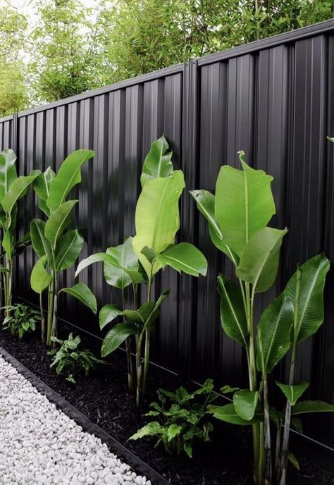 51 Stylish And Cool Fence Landscaping Ideas - DigsDigs Modern Tropical Garden, Black Metal Fence, Fence Landscaping Ideas, Line Landscape, Tropical Backyard Landscaping, Black Fence, Indoor Oasis, Tropical Garden Design, Tropical Backyard