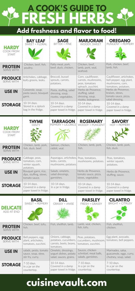 Heighten the freshness and flavor in your cooking with the addition of herbs. Learn about their flavors, uses, and much more in our ultimate guide.  #cookingwithherbs #freshherbs Herbs Guide To Cooking, Using Fresh Herbs In Cooking, How To Use Herbs In Cooking, Cooking With Fresh Herbs Recipes, Things To Do With Fresh Herbs, How To Use Fresh Herbs, Fresh Herbs Recipes, Herb Harvesting Guide, Herb Bundles For Cooking