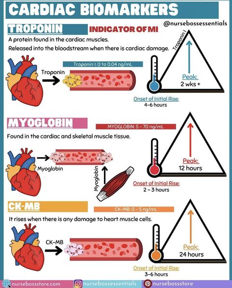 Charting For Nurses, Nursing School Studying Cheat Sheets, Nurse Teaching, Fever Symptoms, Cardiac Disease, Nursing School Essential, Nursing Study Guide, Nursing School Motivation, Nurse Study Notes